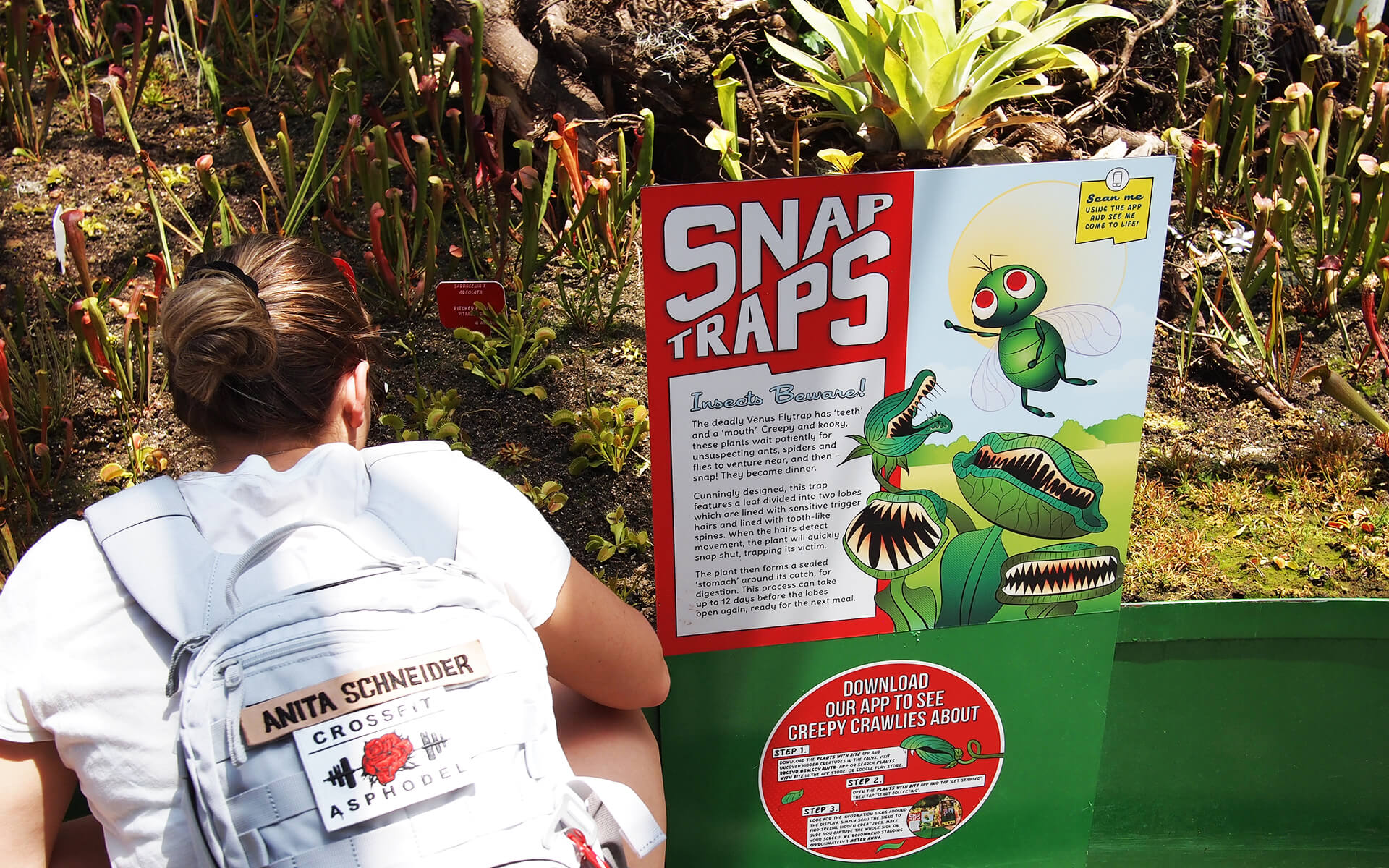 Gillian Moran Design Portfolio - Plants with Bite!